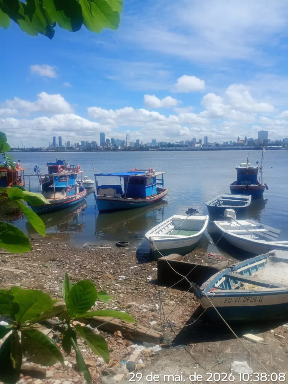 Chegada das coletoras ao Porto da Creche, em Brasília Teimosa, Recife